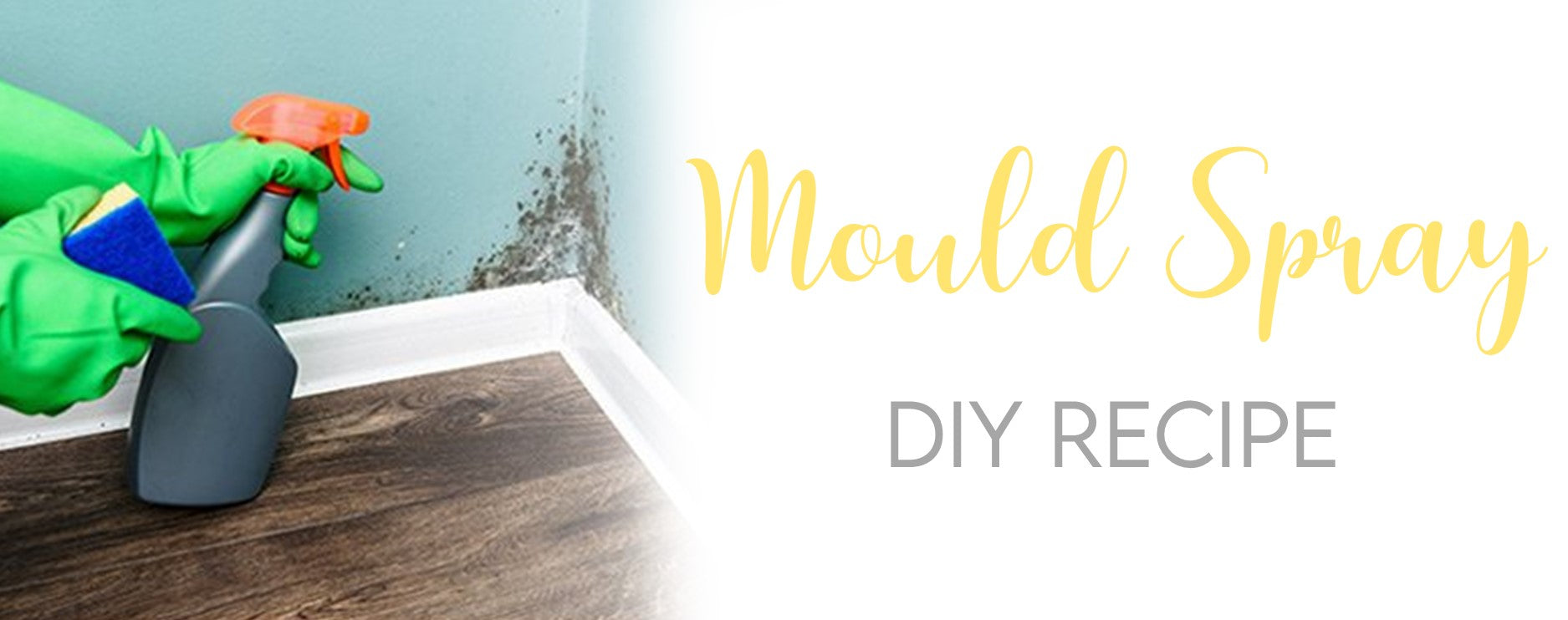 Mould Killer Essential Oil Spray Recipe