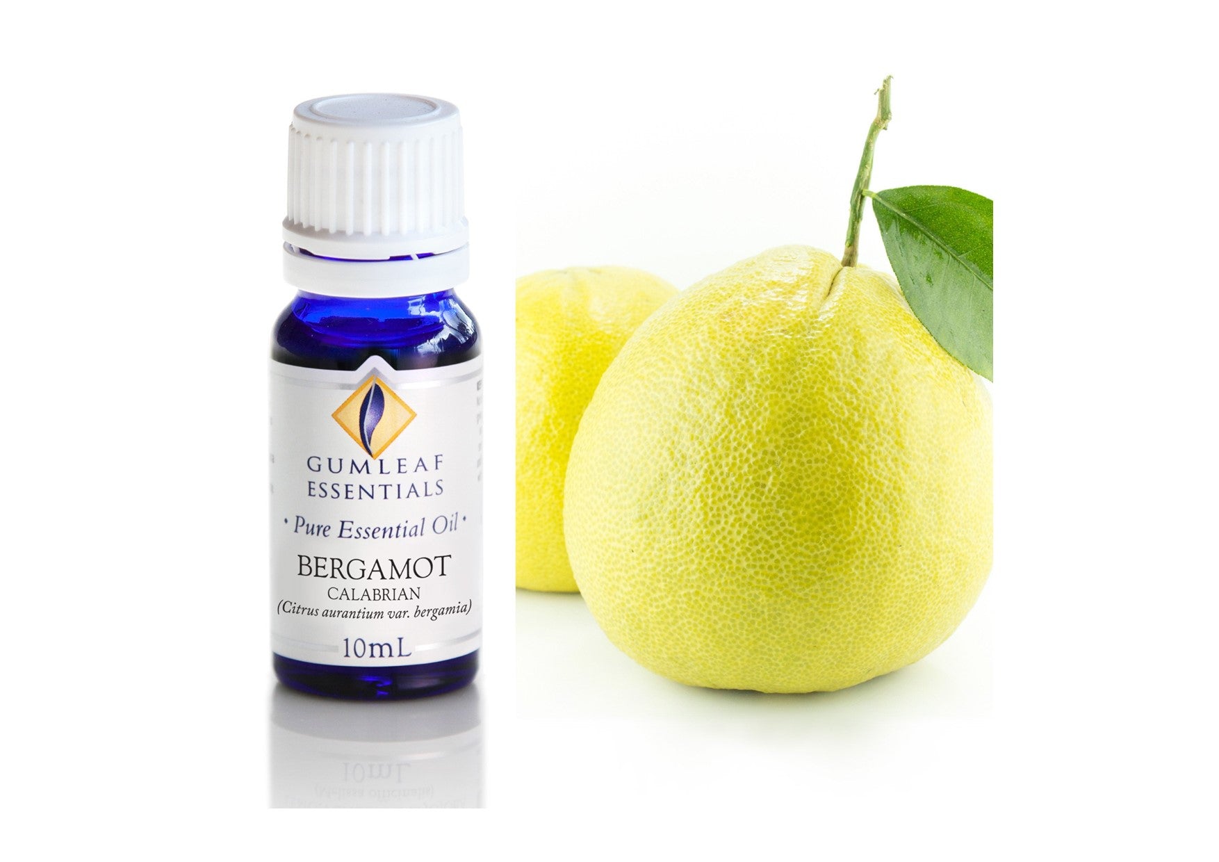 Gumleaf Essentials Oils | Pure | Bergamot