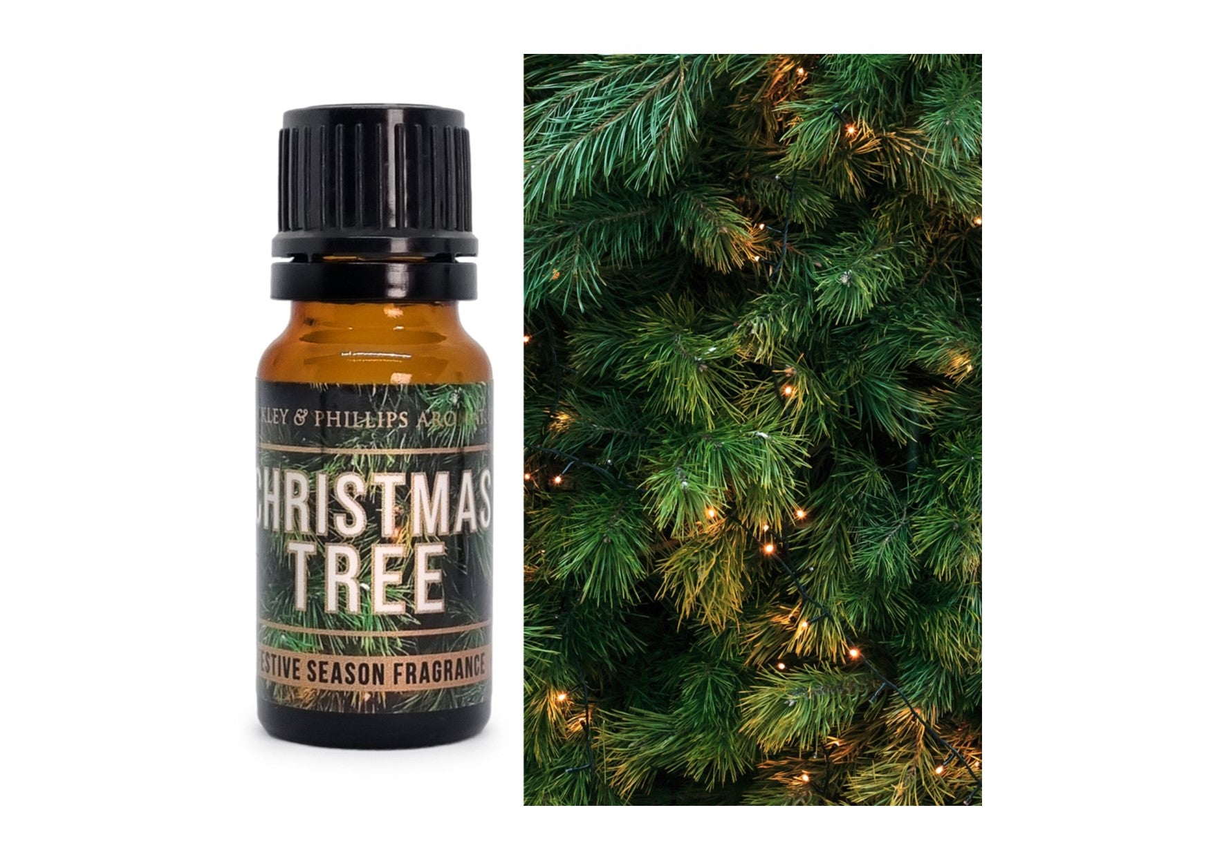 Buckley & Phillips Christmas | Christmas Tree Fragrance Oil