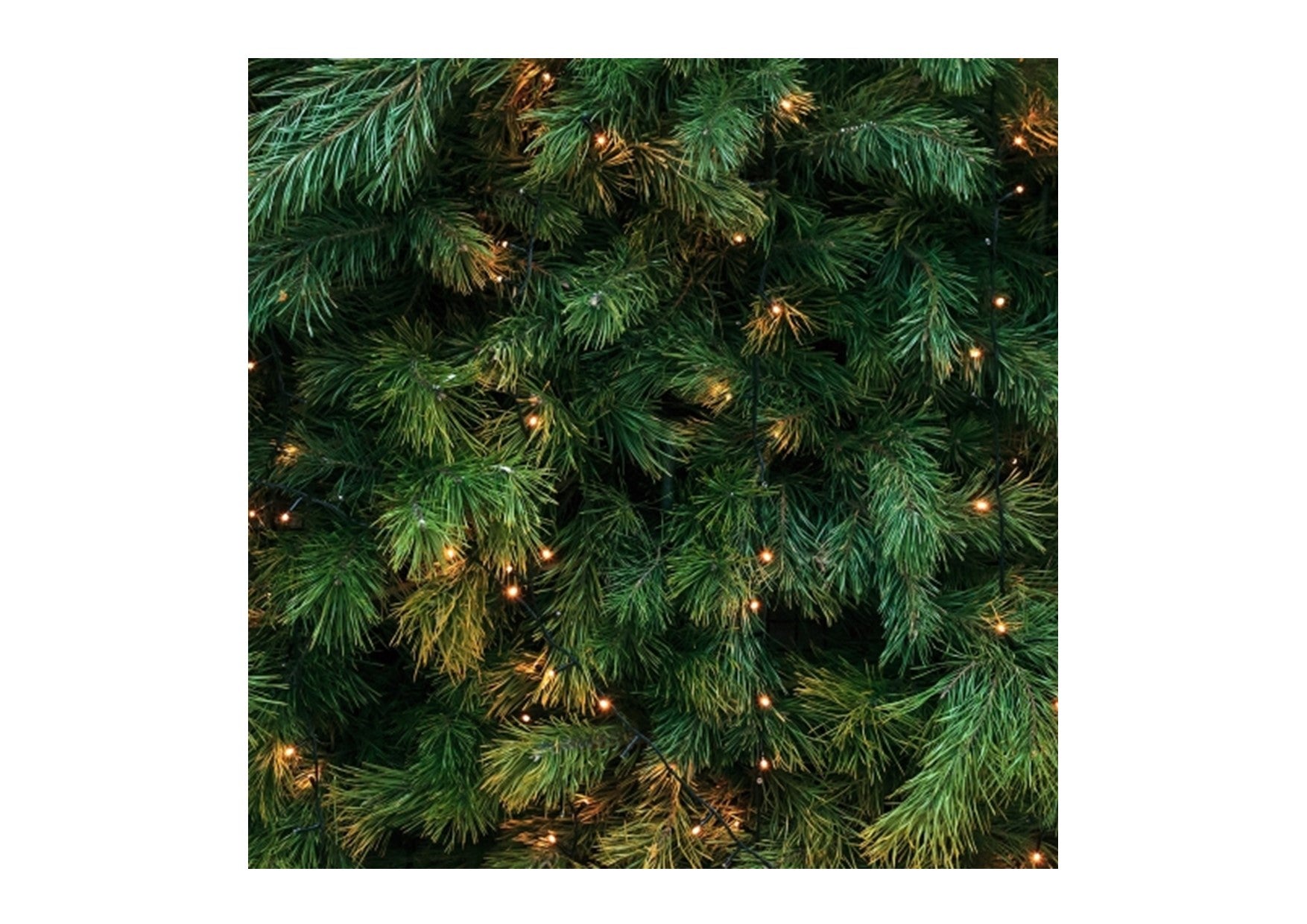 Buckley & Phillips Christmas | Pillar Candles | Christmas Tree