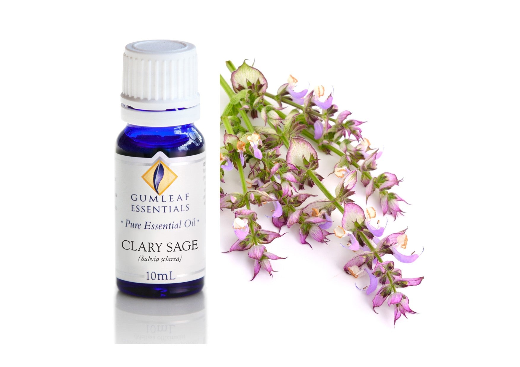 Gumleaf Essentials Oils | Pure | Clary Sage