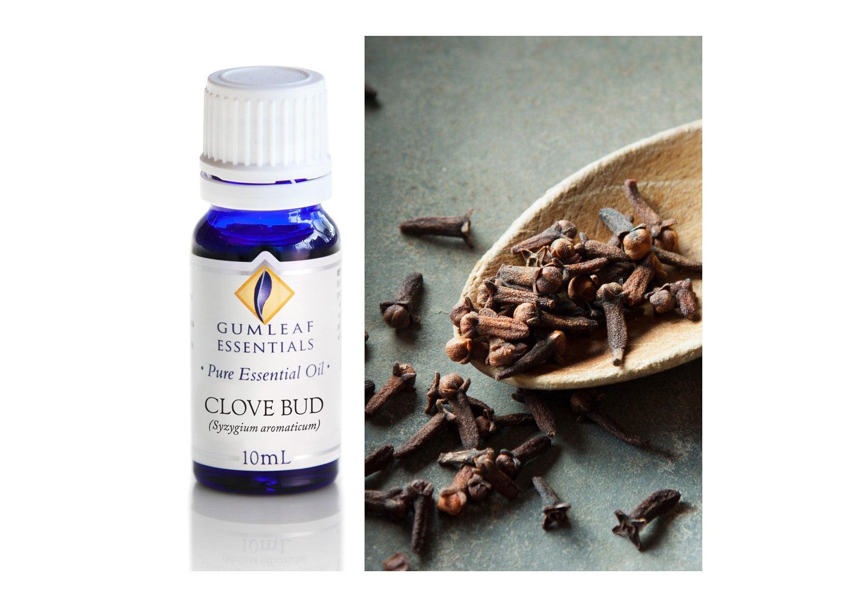 Gumleaf Essentials Oils | Pure | Clove Bud