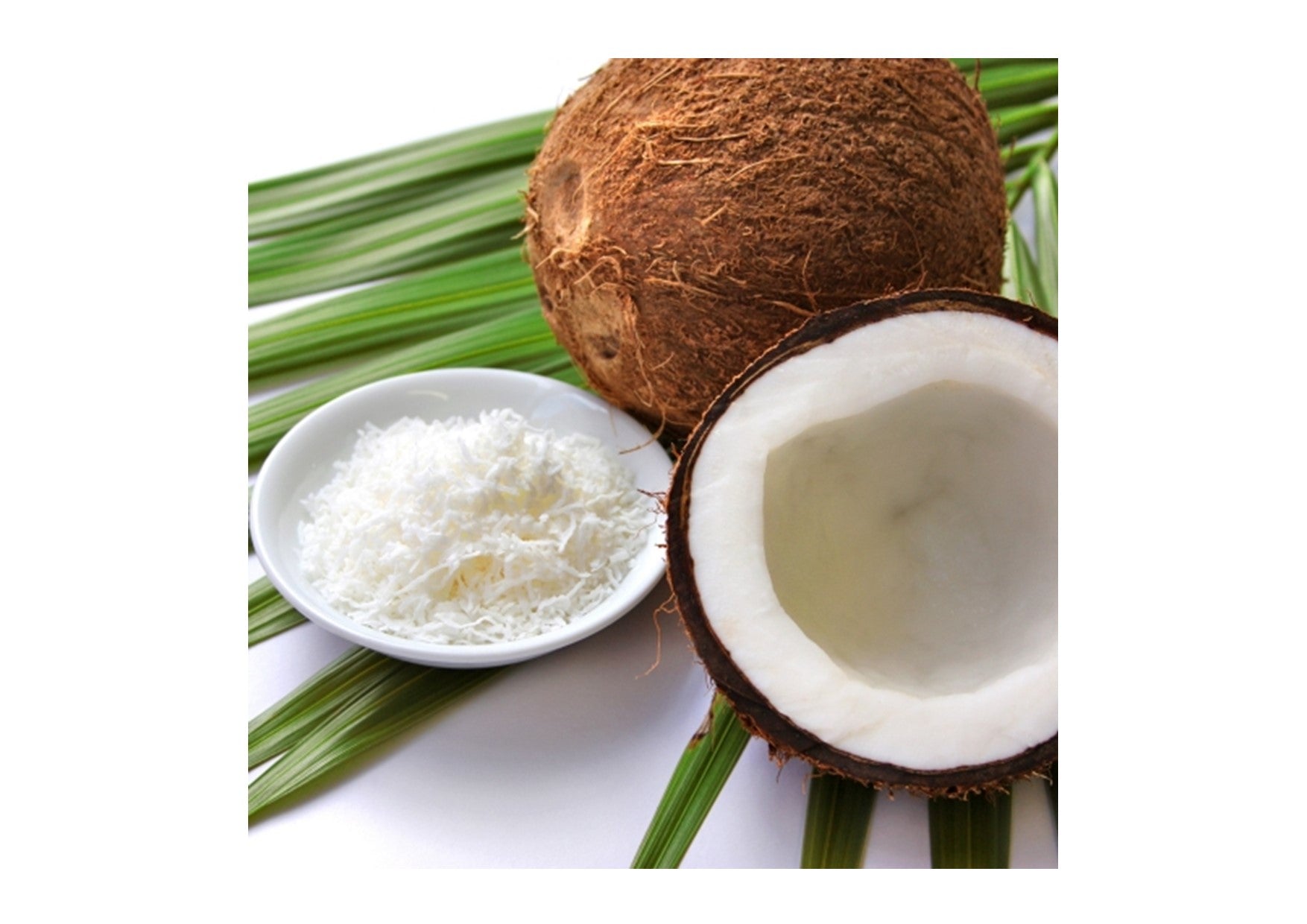 Gumleaf Essentials | Carrier Oil | Fractionated Coconut