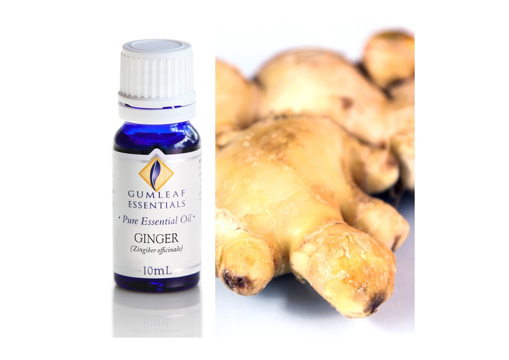Gumleaf Essentials Oils | Pure | Ginger