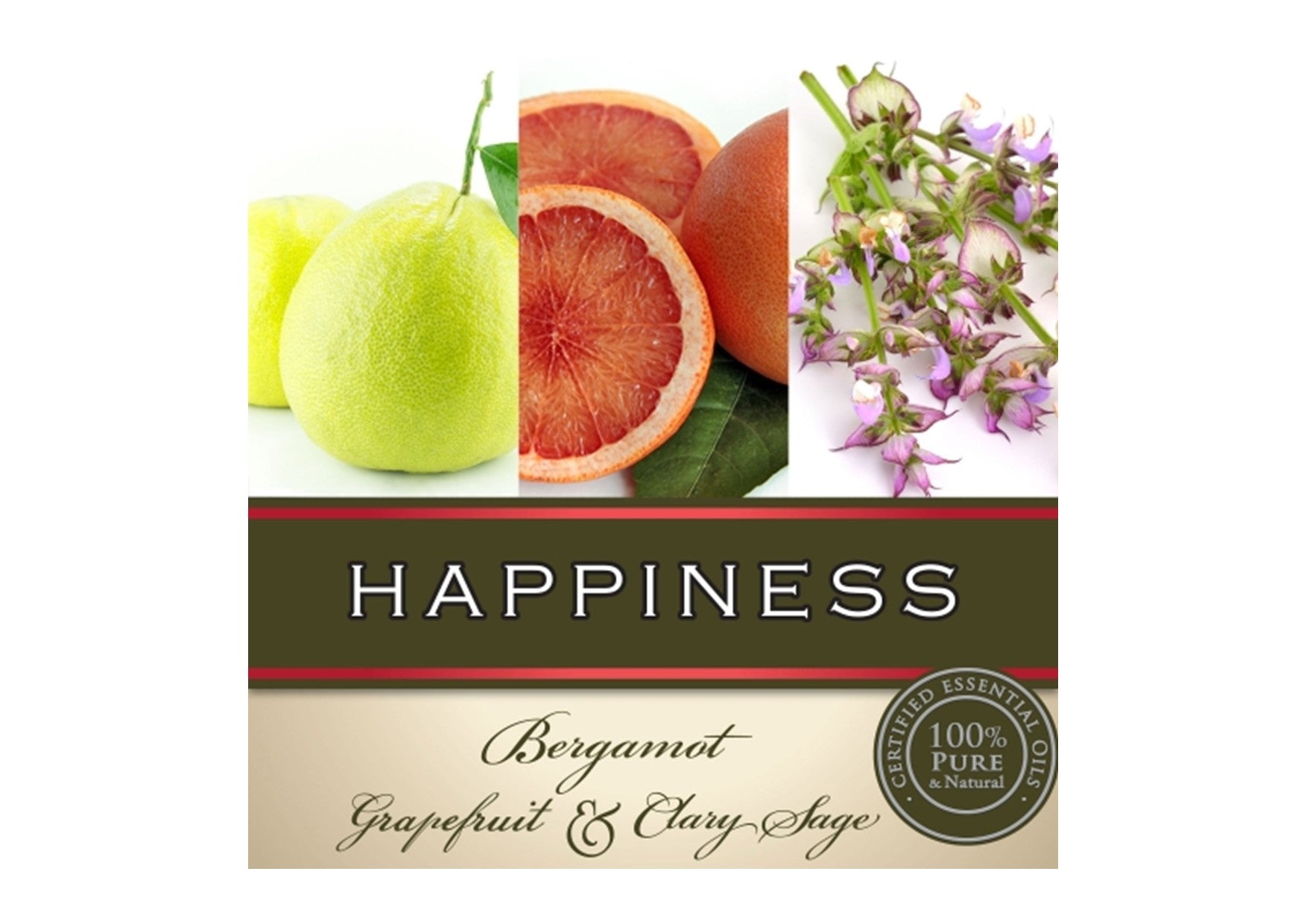 Gumleaf Essentials I Hand & Body Wash | Happiness