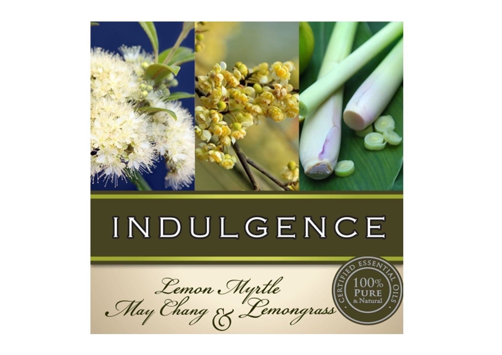 Gumleaf Essentials I Hand & Body Wash | Indulgence
