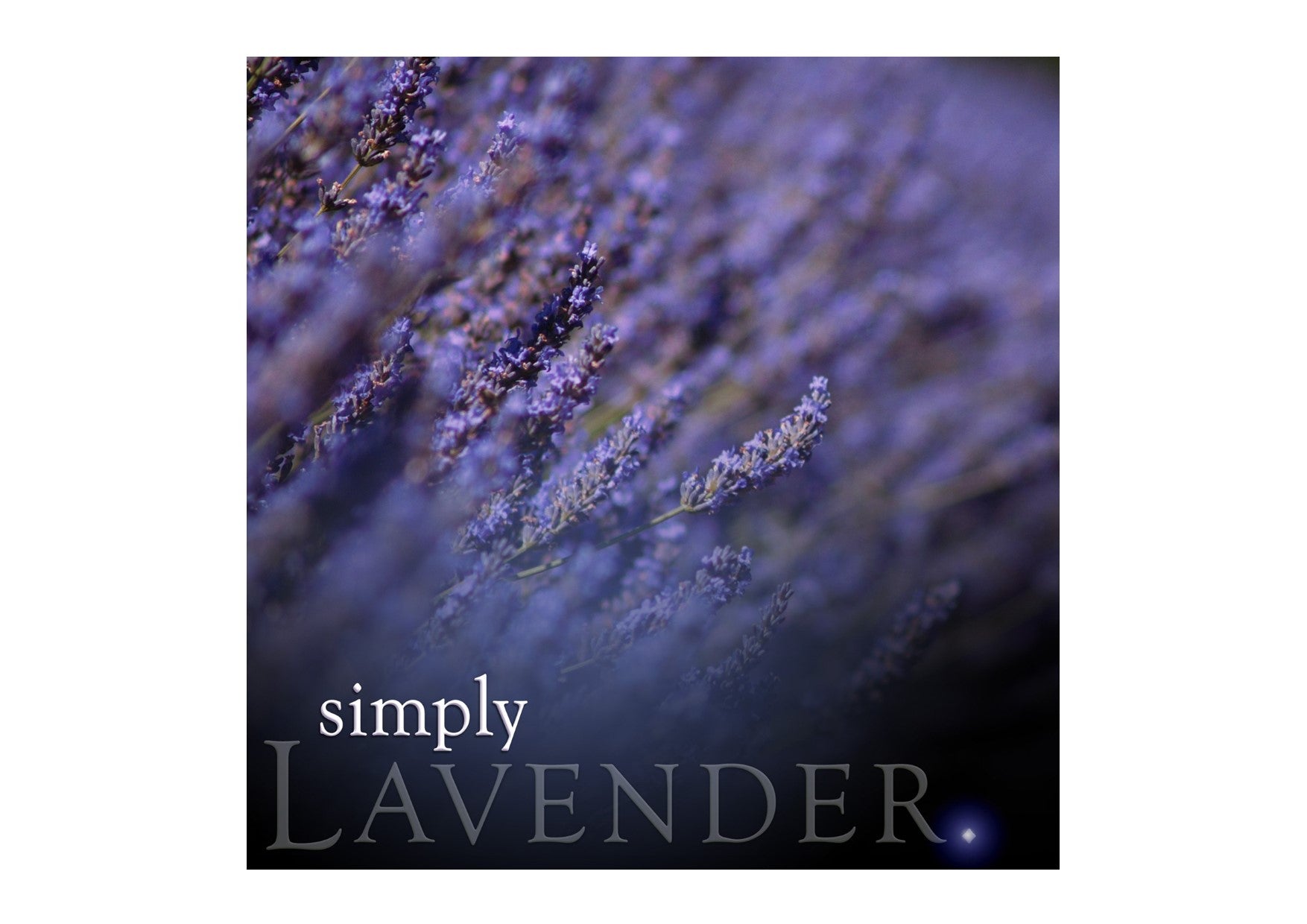 Simply Premium Incense | Lavender