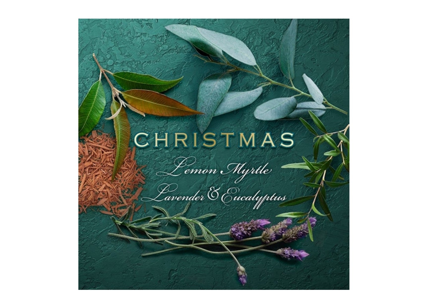 Gumleaf Essentials Christmas | Scent Cakes | Lemon Myrtle & Eucalyptus