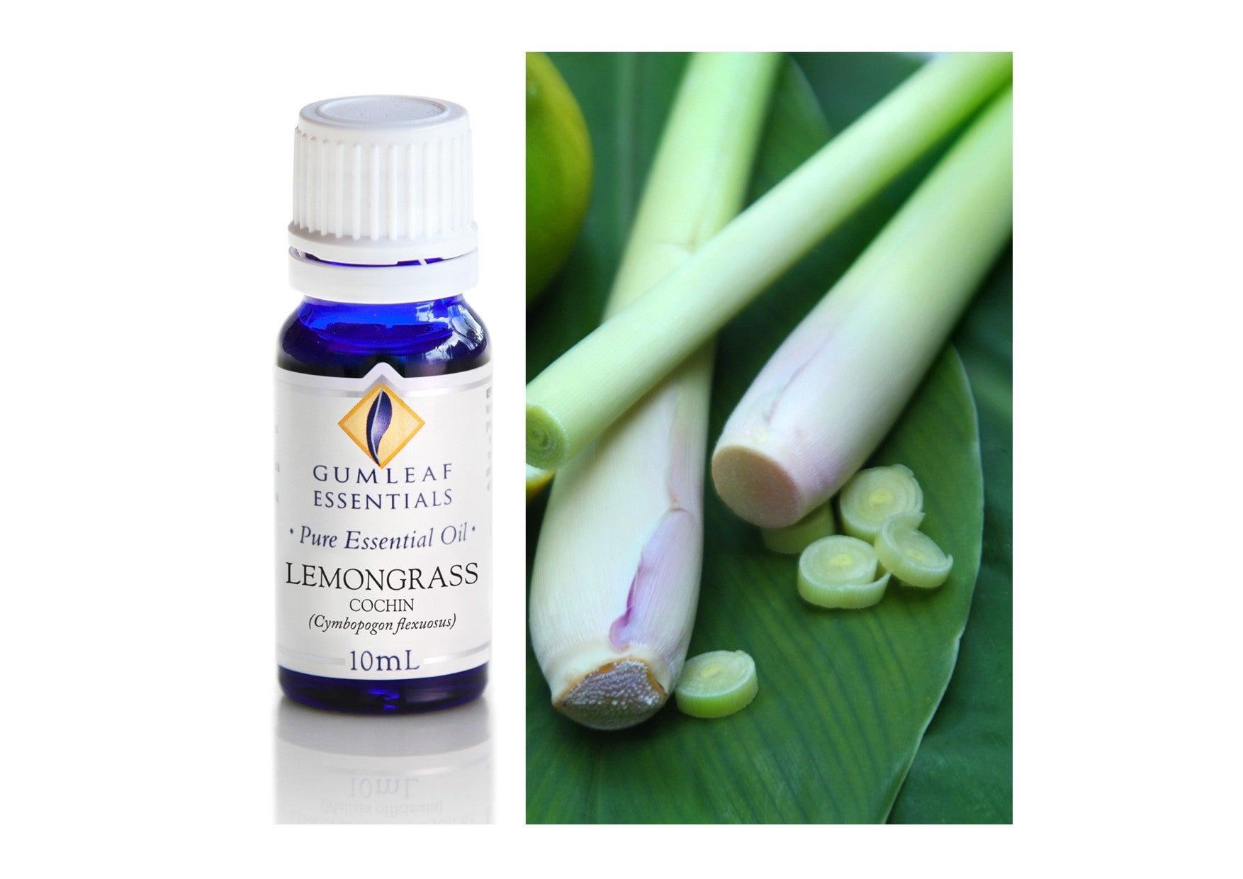Gumleaf Essentials Oils | Pure | Lemongrass Cochin