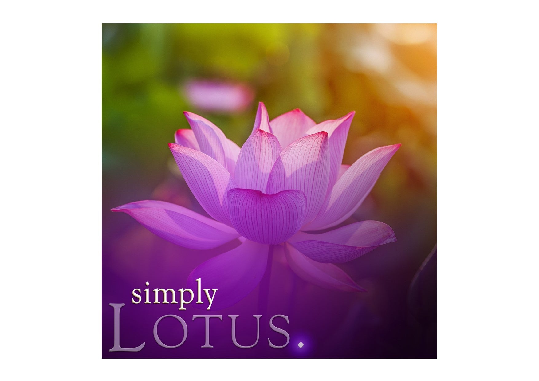 Simply Scent Cakes | Lotus