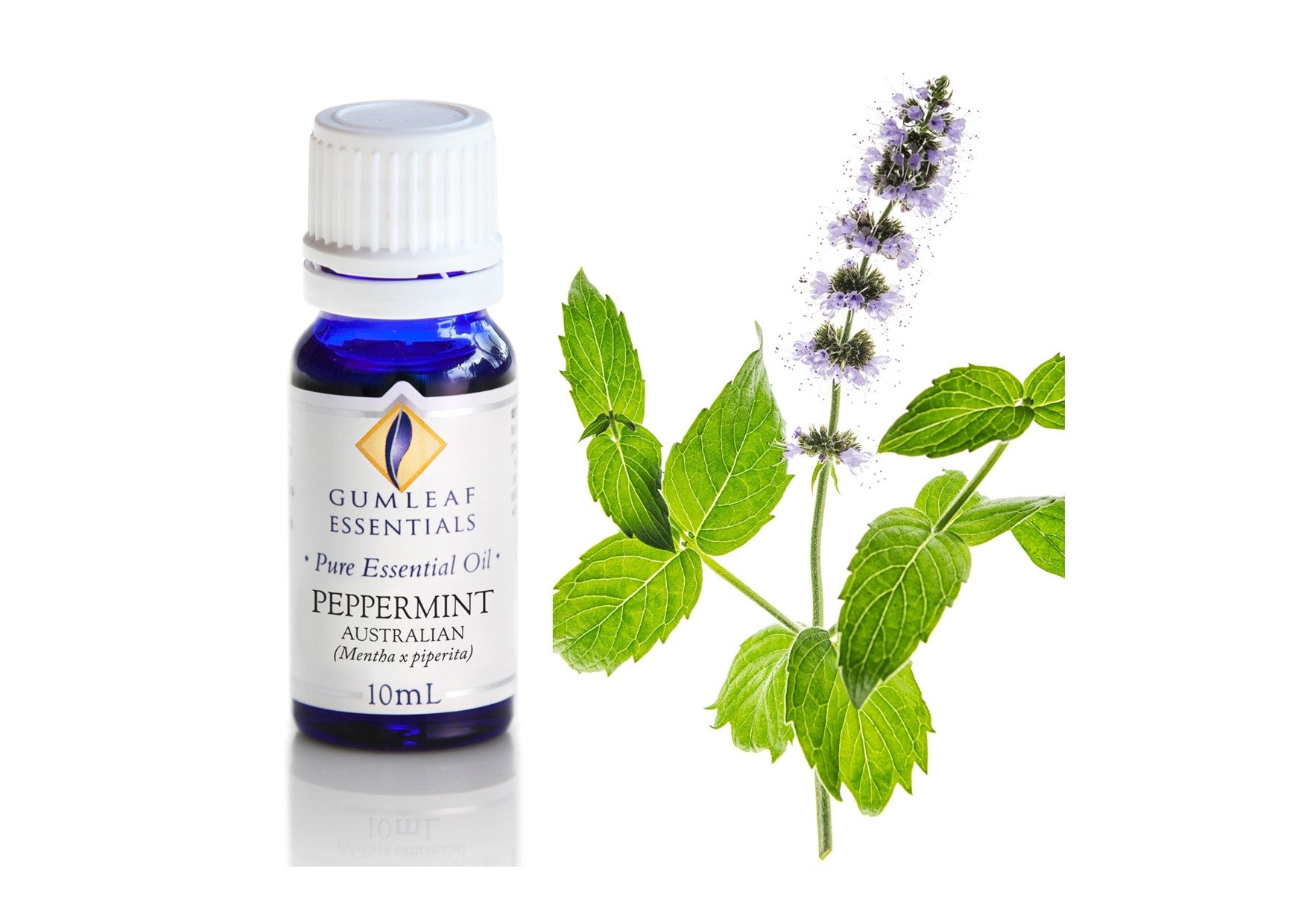 Gumleaf Essentials Oils | Pure | Peppermint Australian