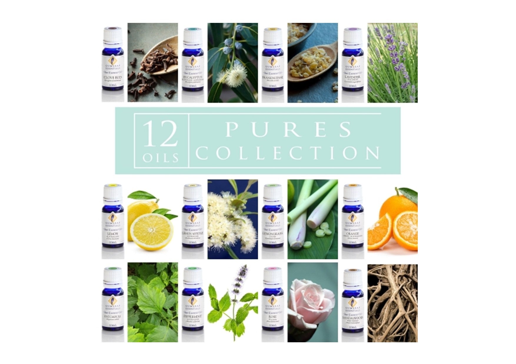 Gumleaf Essentials | Pures Collection Essential Oil Box Set
