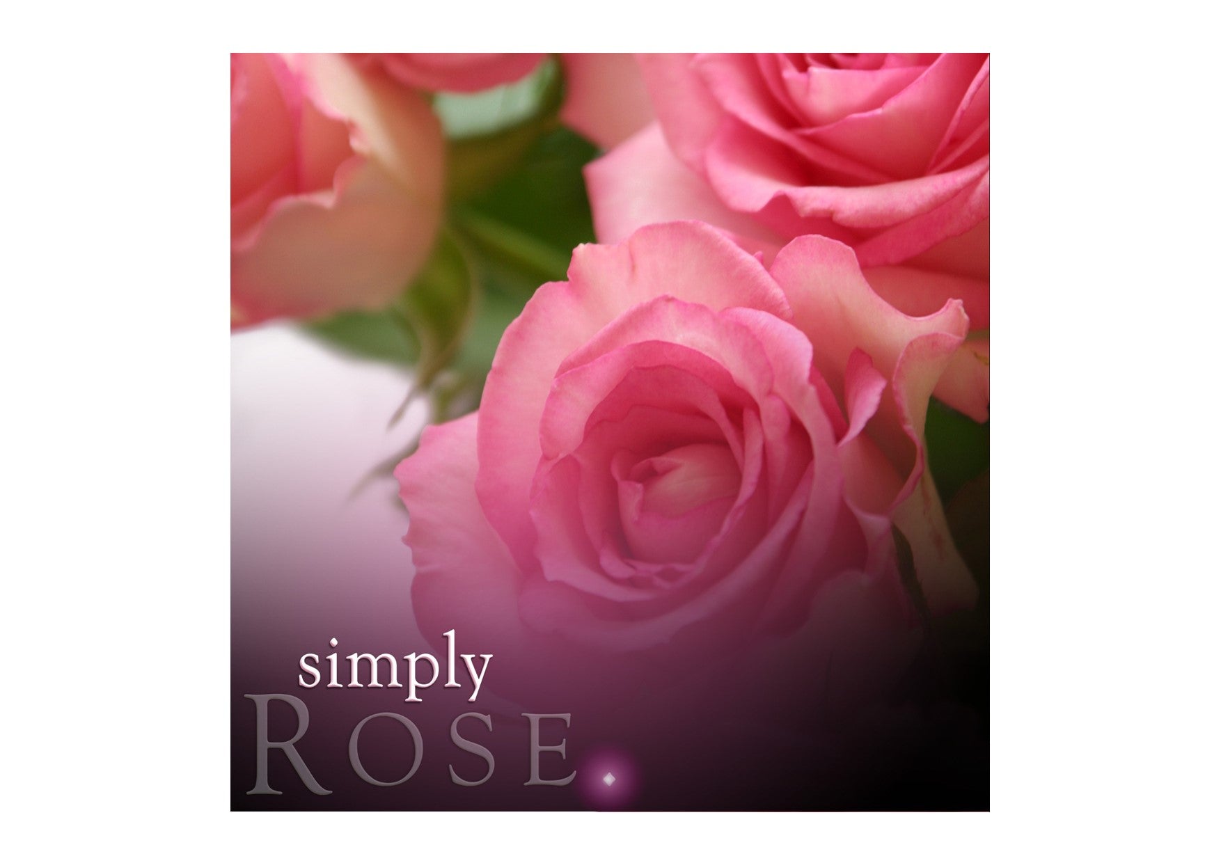 Simply Soy Candles | Rose Soy Jar Candle