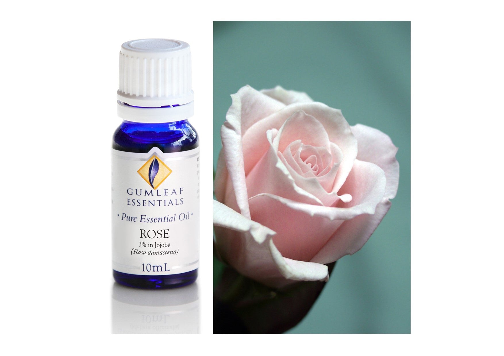 Gumleaf Essentials Oils | Pure | Rose (3% In Jojoba)