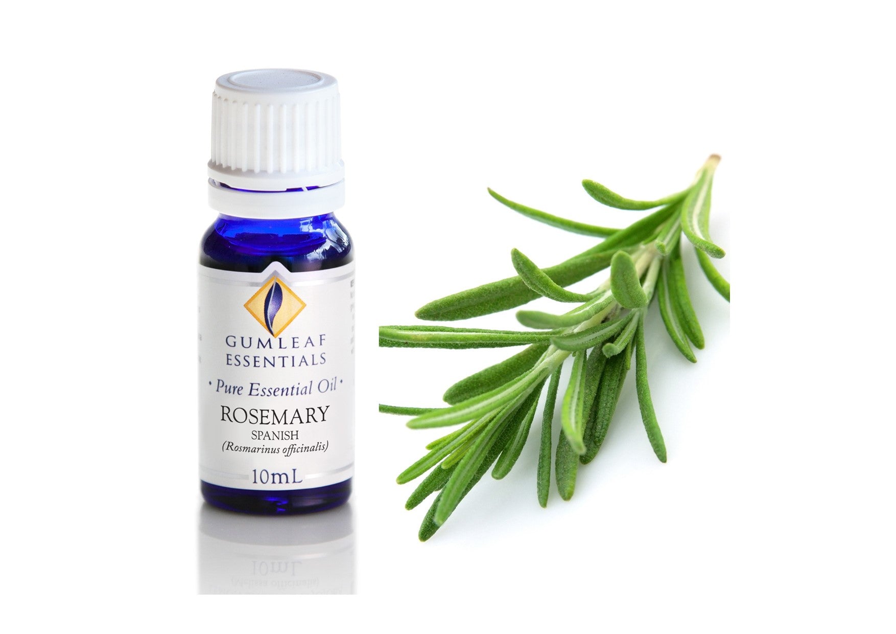 Gumleaf Essentials Oils | Pure | Rosemary Spanish