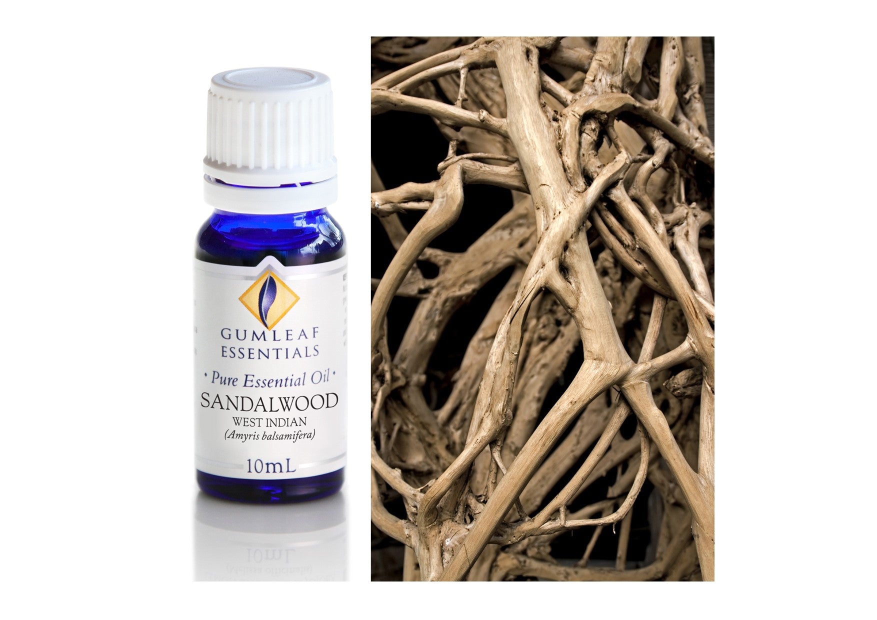 Gumleaf Essentials Oils | Pure | Sandalwood West Indian