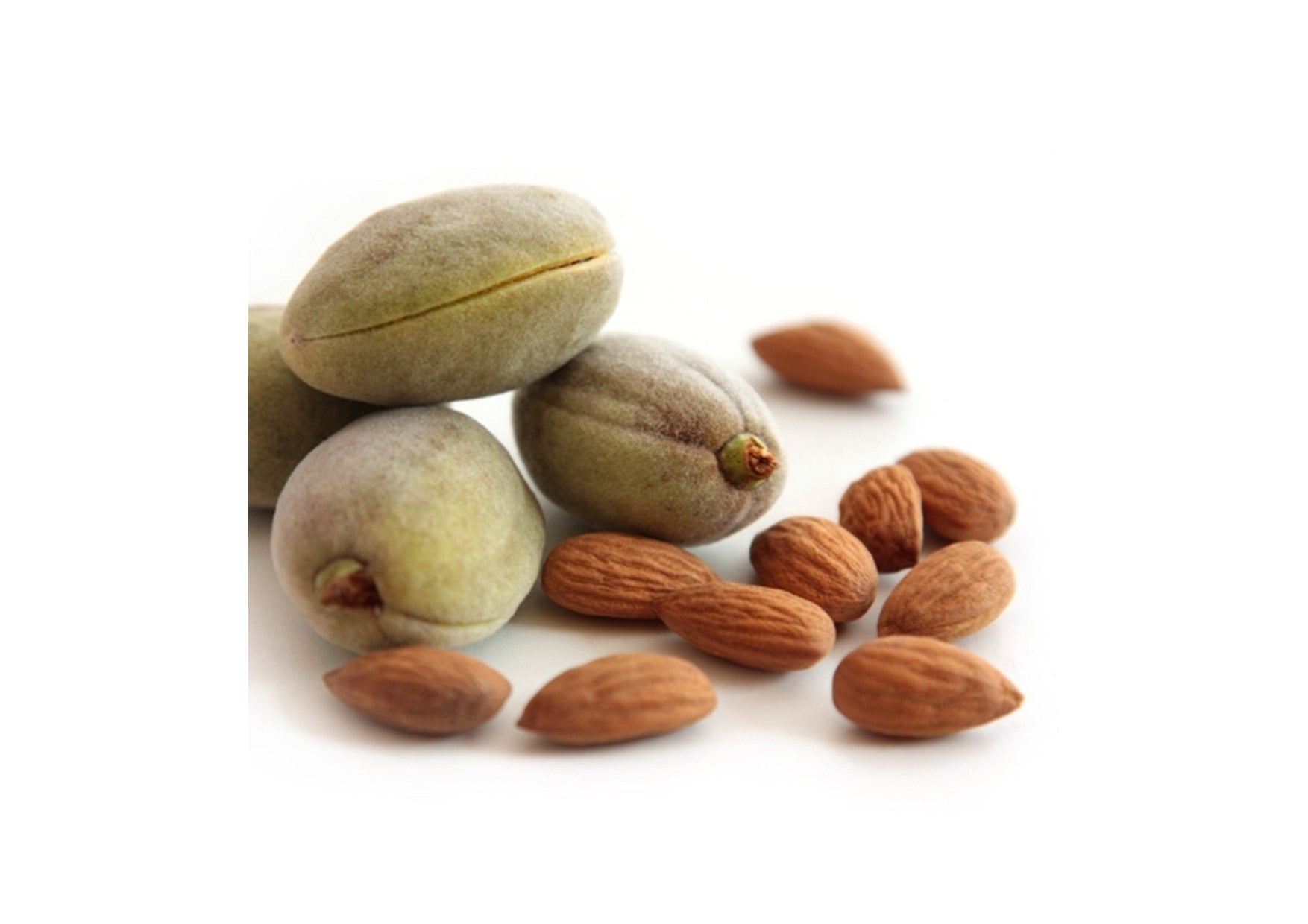 Gumleaf Essentials | Carrier Oil | Sweet Almond
