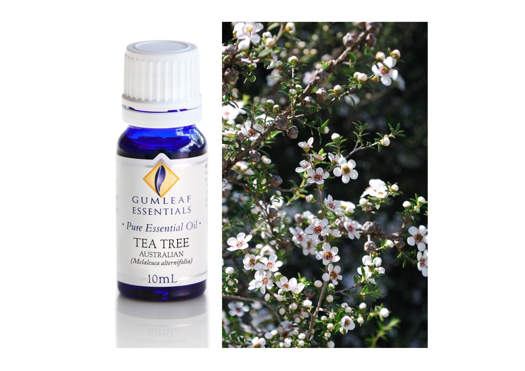 Gumleaf Essentials Oils | Pure | Tea Tree Australian